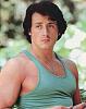 Click image for larger version

Name:	936full-sylvester-stallone.jpg
Views:	983
Size:	120.2 KB
ID:	18655