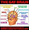 Click image for larger version

Name:	gay brain.jpg
Views:	2687
Size:	63.1 KB
ID:	24033