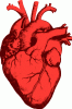 Click image for larger version

Name:	Heart.gif
Views:	1550
Size:	23.6 KB
ID:	24923