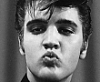 Click image for larger version

Name:	Elvis.png
Views:	466
Size:	13.7 KB
ID:	25797