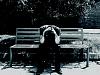 Click image for larger version

Name:	Sadness-bench.jpg
Views:	150
Size:	125.4 KB
ID:	29653