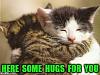 Click image for larger version

Name:	01-hugs.jpg
Views:	728
Size:	44.7 KB
ID:	53877