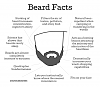 Click image for larger version

Name:	beard.png
Views:	804
Size:	48.6 KB
ID:	18030