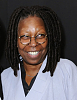 Click image for larger version

Name:	whoopi.PNG
Views:	697
Size:	99.4 KB
ID:	19340