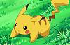 Click image for larger version

Name:	Pikachu.jpg
Views:	1209
Size:	58.0 KB
ID:	24009