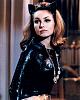 Click image for larger version

Name:	julie-newmar-catwoman.jpg
Views:	134
Size:	152.8 KB
ID:	50664