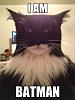 Click image for larger version

Name:	Batman cat.jpg
Views:	448
Size:	165.1 KB
ID:	22664