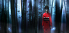 Click image for larger version

Name:	D10_karanokyoukai.png
Views:	1505
Size:	167.7 KB
ID:	26173