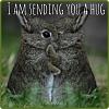 Click image for larger version

Name:	01-bunny-hug.jpg
Views:	247
Size:	46.1 KB
ID:	53559