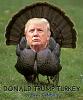 Click image for larger version

Name:	trumpturkey.jpg
Views:	6491
Size:	145.5 KB
ID:	23151