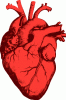 Click image for larger version

Name:	Heart.gif
Views:	1541
Size:	23.6 KB
ID:	24923