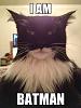 Click image for larger version

Name:	Batman cat.jpg
Views:	450
Size:	165.1 KB
ID:	22664