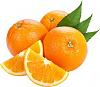 Click image for larger version

Name:	Oranges.jpg
Views:	57
Size:	25.9 KB
ID:	29333