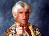 Click image for larger version

Name:	Ric Flair AP Graphics Bank 660.jpg
Views:	2554
Size:	45.1 KB
ID:	13519