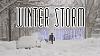 Click image for larger version

Name:	winterstorm.jpg
Views:	1475
Size:	321.6 KB
ID:	23876